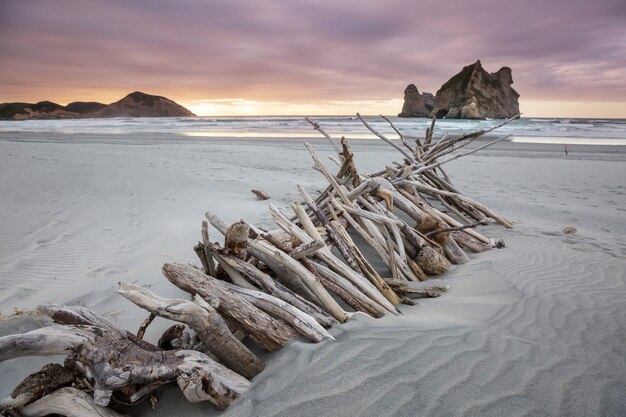 Dune di sabbia sulla spiaggia dell'Oceano Pacifico, Nuova Zelanda