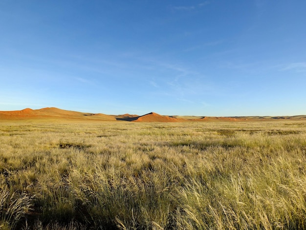 Dune nel deserto del Namib Sossusvlei Namibia