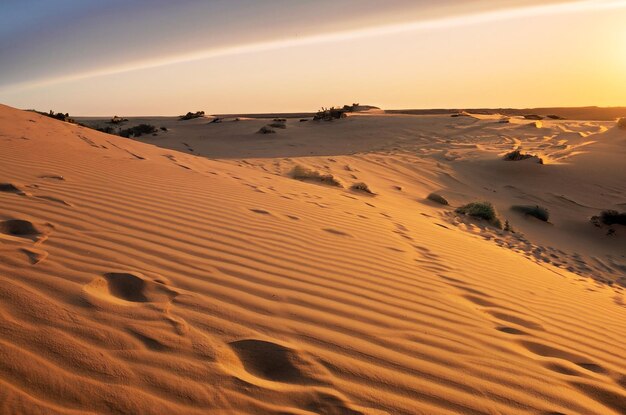 dune nel deserto del Sahara nel cuore dell'Africa