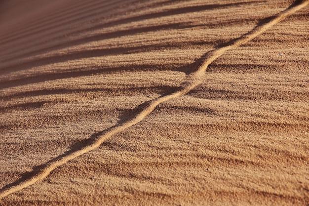 Dune nella città abbandonata di Timimun nel deserto del Sahara