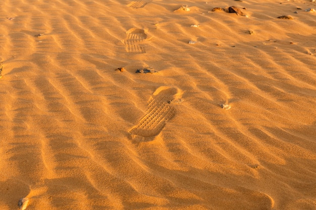 Dune ondeggiano nel deserto del Sahara