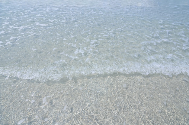 Durante il giorno limpide onde del mare e spiagge sabbiose