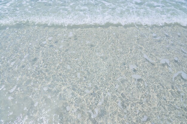 Durante il giorno limpide onde del mare e spiagge sabbiose