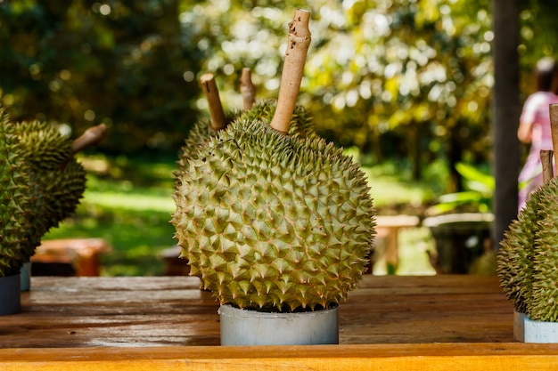 Durian di frutta tropicale sul tavolo del mercato.