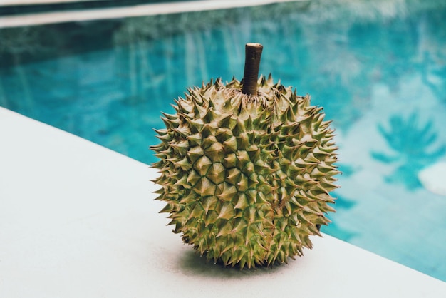 Durian dolce e cremoso in giardino su sfondo bianco