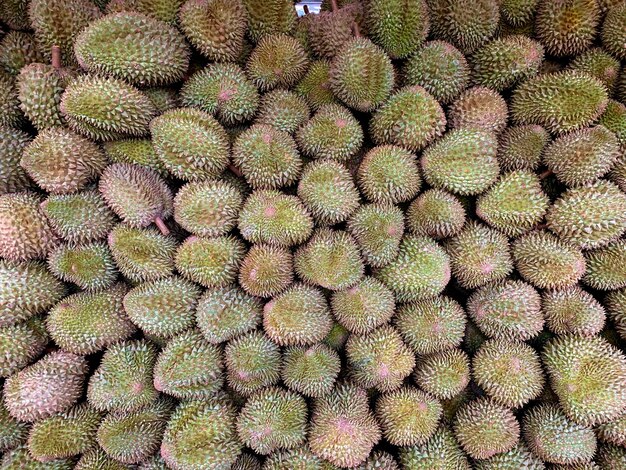 Durian impilabile per la vendita al mercato