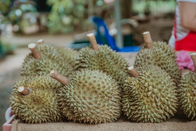 Durian in vendita