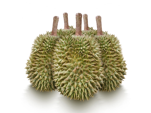 Durian isolato su sfondo bianco