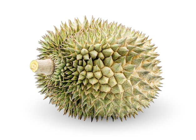 Durian isolato su sfondo bianco