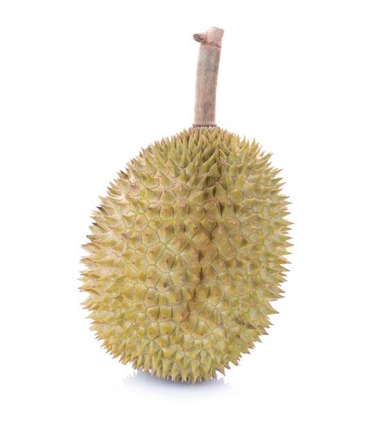 Durian isolato su sfondo bianco