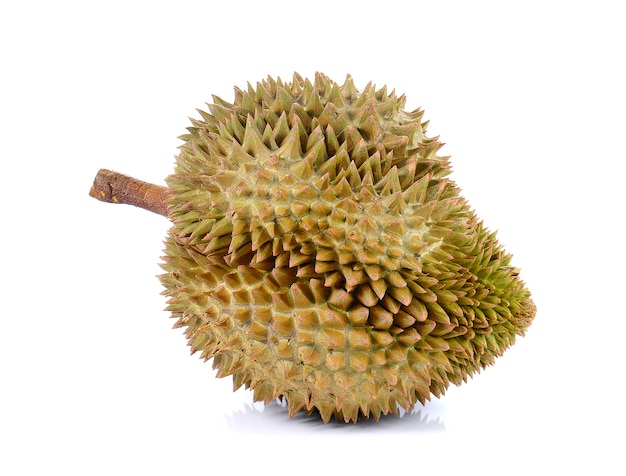 Durian, re dei frutti su sfondo bianco.