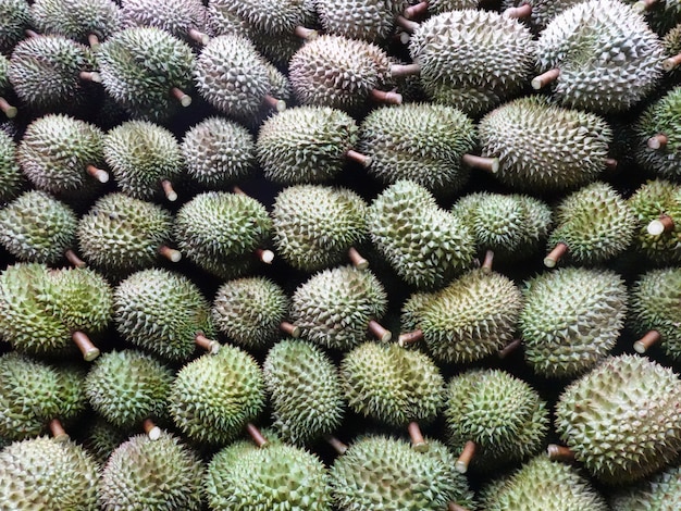 Durian, re della frutta tailandese, esporta in Cina