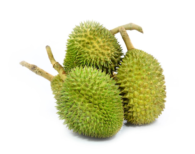 Durian Re di frutta Thailandia