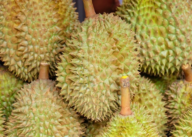 durian