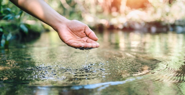 e tocca l'acqua nello stagno