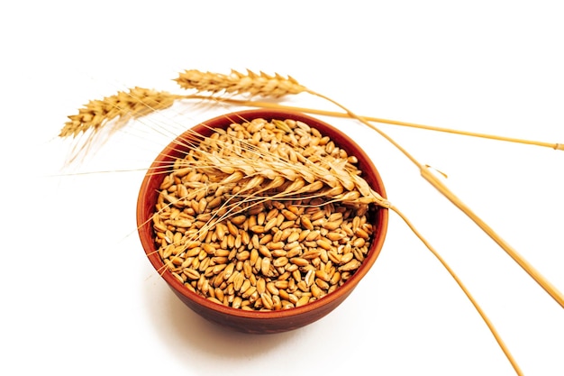 Ears di grano isolato su sfondo bianco Il problema delle esportazioni di grano ucraino a causa della guerra