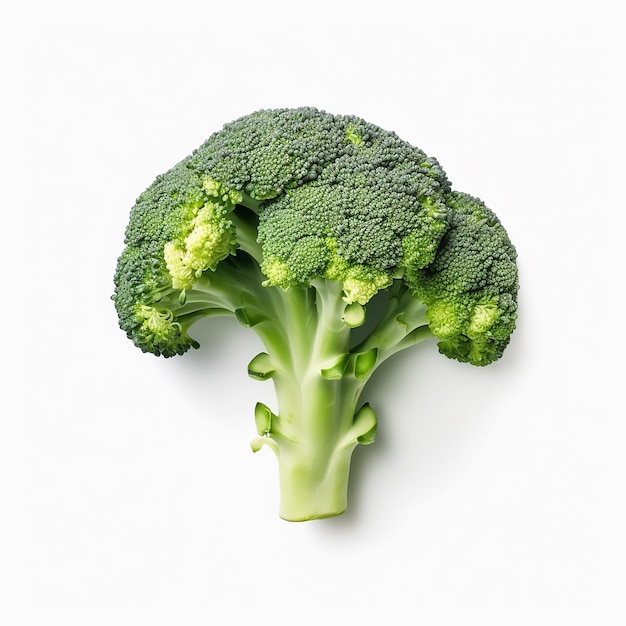 ebroccoli freschi di verdure su sfondo bianco