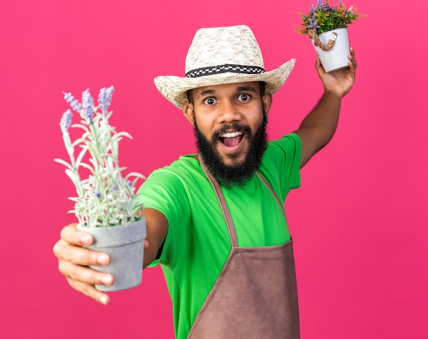 Eccitato giovane giardiniere afro-americano che indossa un cappello da giardinaggio che regge fiori in vaso di fiori sul davanti isolato su parete rosa