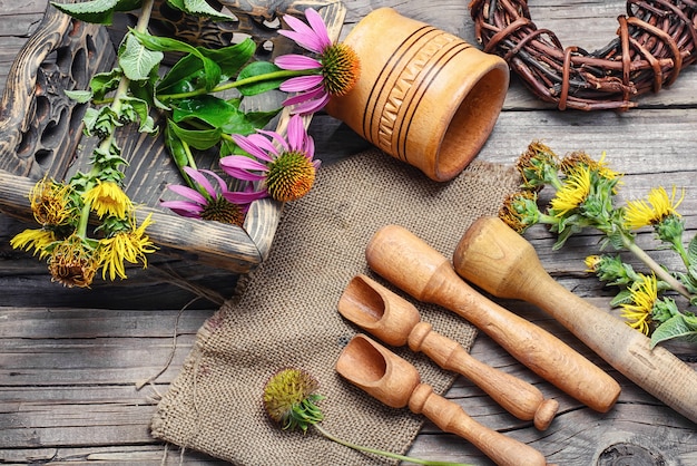 Echinacea e inula curative