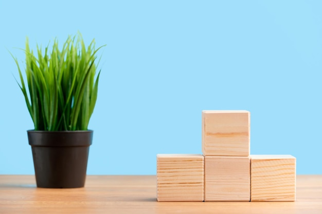 Ecologia business seo team pubblicizza concetto vuoto blocchi di legno cubi su sfondo blu con pianta f