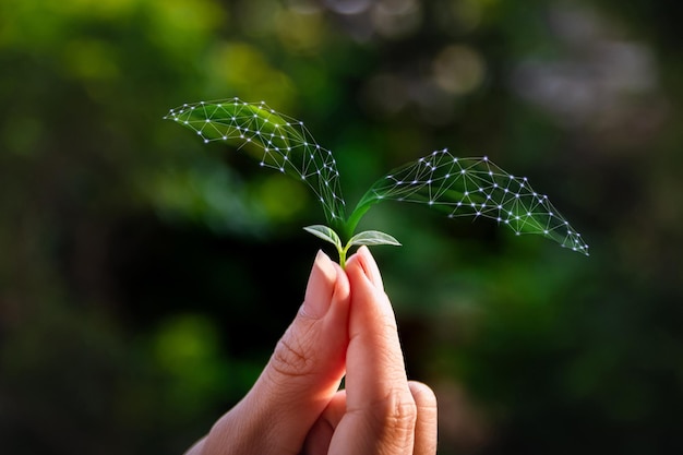 Ecologia e concetti delle piantine di alberi Espansione delle idee commerciali