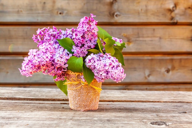 Ecologia natura primavera concetto bouquet di fiori bellissimo odore viola viola lilla in vaso su ...