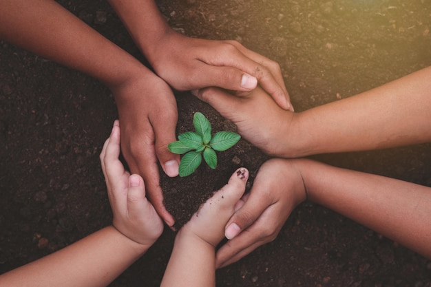 Ecologia protezione dell'ambiente naturale concetto di giorno della terra piantare piante nelle mani umane sopra il verde