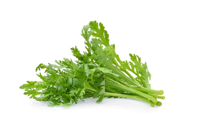 Edible chrysanthemum leaf isolated on white