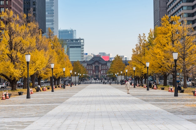 Edifici a Tokyo con foglie di autunno