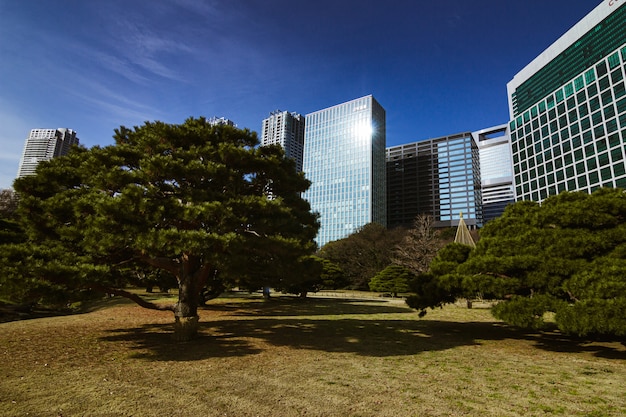 Edifici giustapposti ai giardini Hamarikyu di Tokyo