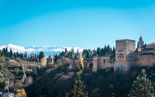 Edifici storici e alberi contro un cielo blu limpido