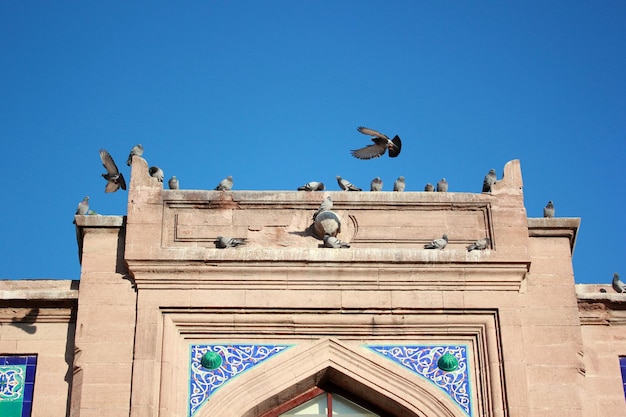 Edificio storico in pietra e piccioni
