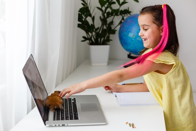 Educare a casa. La ragazza del bambino fa i compiti con il criceto dell'animale domestico. Criceto divertente dello zenzero che si siede sulla tavola in cui il bambino sta scrivendo. Di nuovo a scuola.