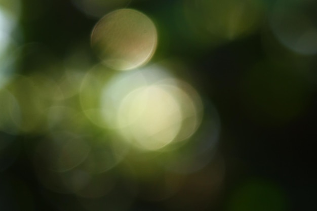 Effetto bokeh verde natura