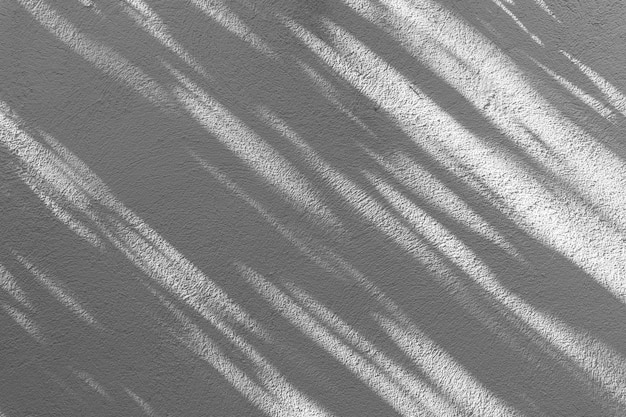 Effetto di sovrapposizione dell'ombra per la foto Ombre di foglie di albero e rami tropicali su un muro bianco alla luce del sole