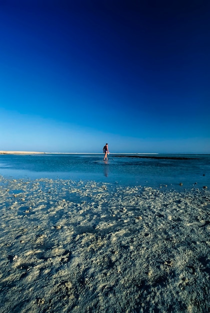 Egitto, Mar Rosso, Hurghada, uomo che cammina su una piccola isola della barriera corallina al largo della costa - SCANSIONE SU FILM