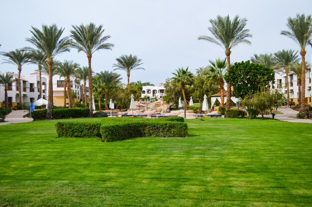 EGITTO SHARM EL SHEIKH Visita l'auditor dell'hotel e valuta il livello della decorazione dell'area