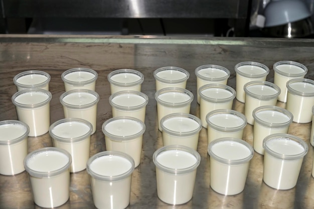 Elaborazione di yogurt naturale con latte di capra