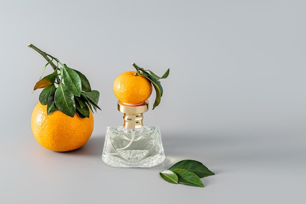 Elegante bottiglia di cristallo di profumo femminile con l'aroma di delicati agrumi freschi su uno sfondo grigio con frutti di mandarino Presentazione