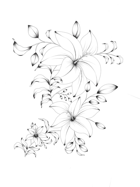 Elegante disegno floreale di giglio bianco e nero