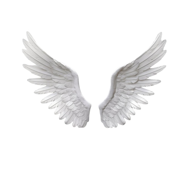 Eleganti ali di angelo bianche isolate su sfondo bianco