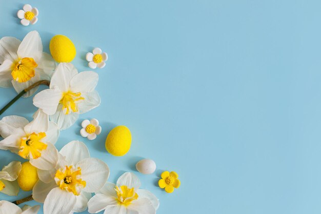Eleganti uova di Pasqua e fiori di narcisi gialli piatti adagiati su sfondo blu con spazio di copia Modello di biglietto di auguri di buona Pasqua Banner di vacanza moderna Composizione festiva