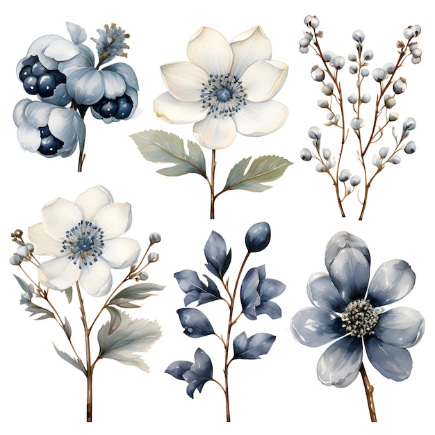 Elementi di fiori invernali acquerello sublimazione disegno bianco