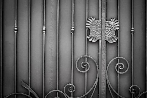 Elementi ornati in ferro battuto della decorazione del cancello in metallo.