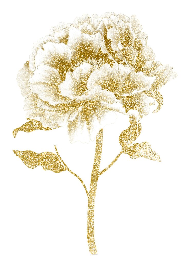 Foto elemento di design di fiori botanici su sfondo trasparente più ispirato dalla nostra copia originale del 1939 di the picture book of peonies the niigata prefecture japan