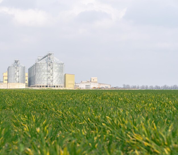 Elevatore per cereali in metallo elevatore per cereali nella zona agricola deposito agricolo per il raccolto di grano