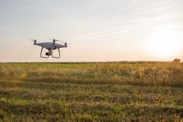 Elicottero del quadrato del drone sul campo di grano verde