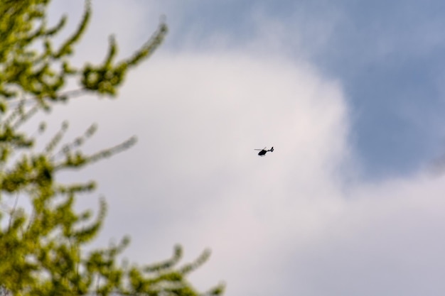 Elicottero in lontananza sopra il cielo con un albero davanti