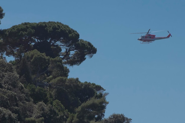 Elicottero nei pressi del pino marittimo