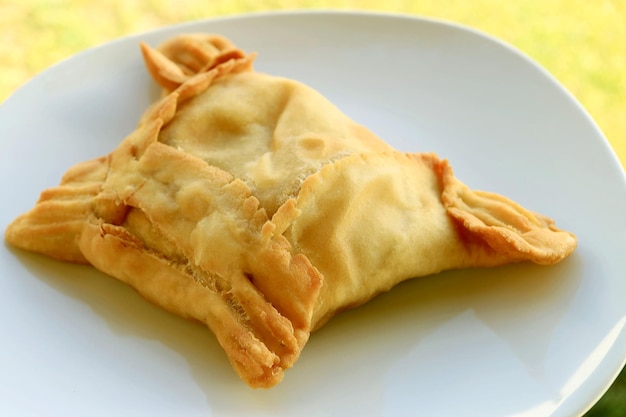 Empanada cilena gustoso o pasticceria ripiena salata su un piatto bianco